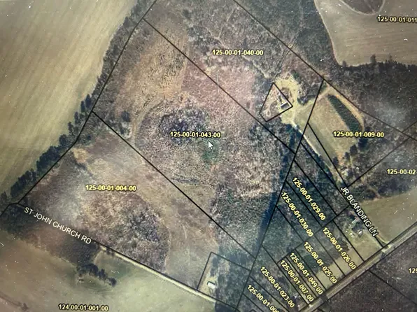 Silver Rd, Manning, SC 29102