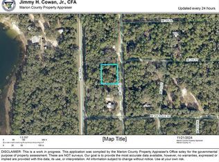 NE 110th Ct LOT 19, Fort Mc Coy, FL 32134