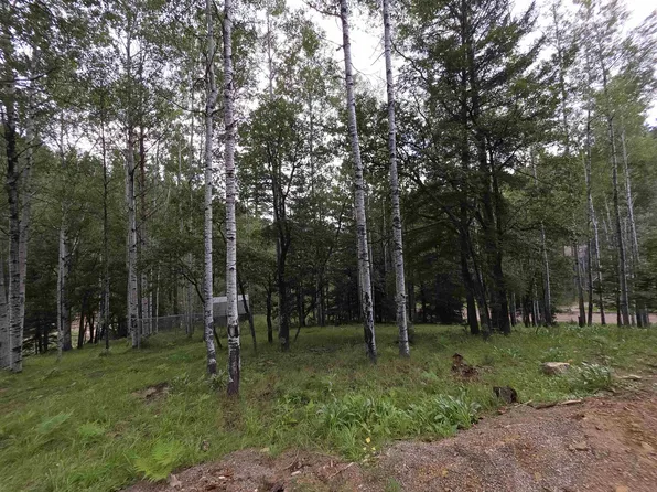 0 Deer Dr, Cloudcroft, NM 88317