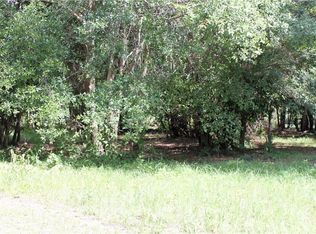 230 Barbe St, Lake Helen, FL 32744