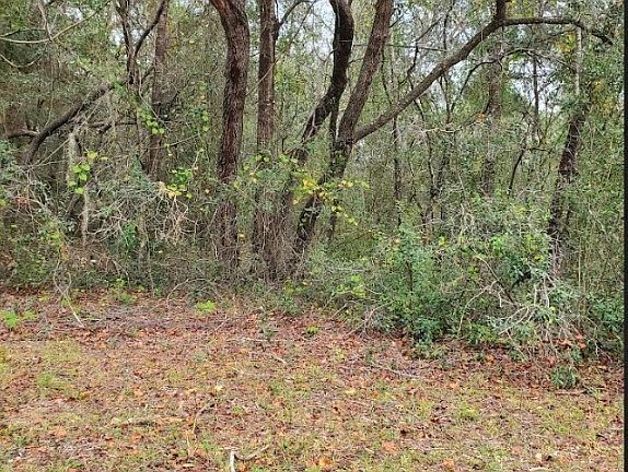 5th image of 7879 N Vince Dr