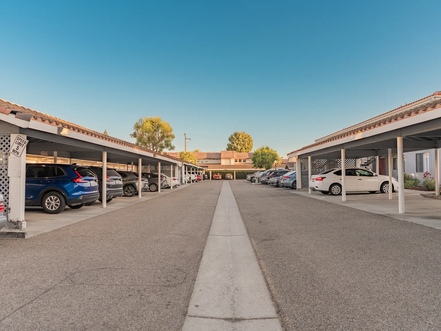 Citrus Court Apartments — Photo 3