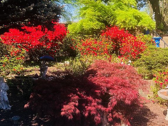 4th image of 6144 Chesterbrook Rd