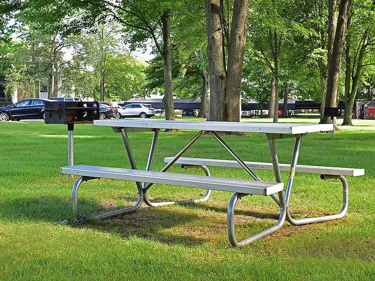 Grills and Picnic Table