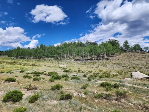 2596 Ute Trace LOT 387, Hartsel, CO 80449