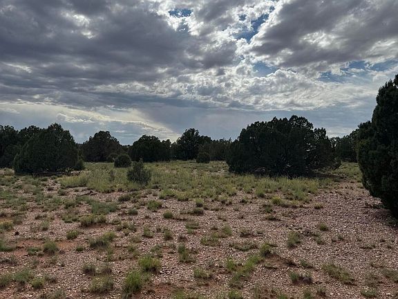 3rd image of 4205 Pinon Ln