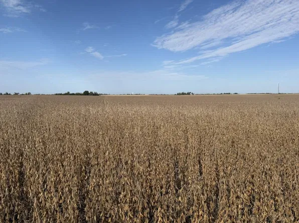 1 Linn Grove Rd, Springville, IA 52336