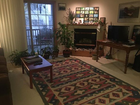 living room with gas fireplace