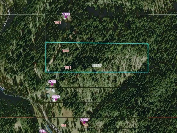 American River Rd, Elk City, ID 83525