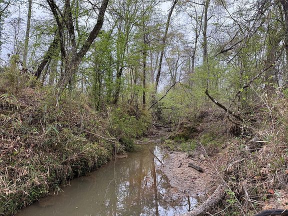 4th image of TRACT 2 Highway 82