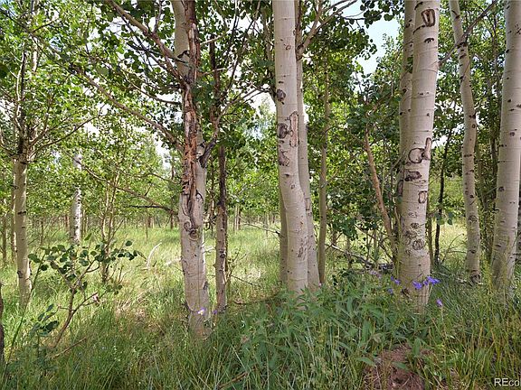 2nd image of 555 Little Baldy Cir
