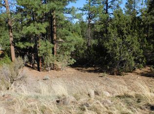 2869 Lodgepole Rd, Overgaard, AZ 85933