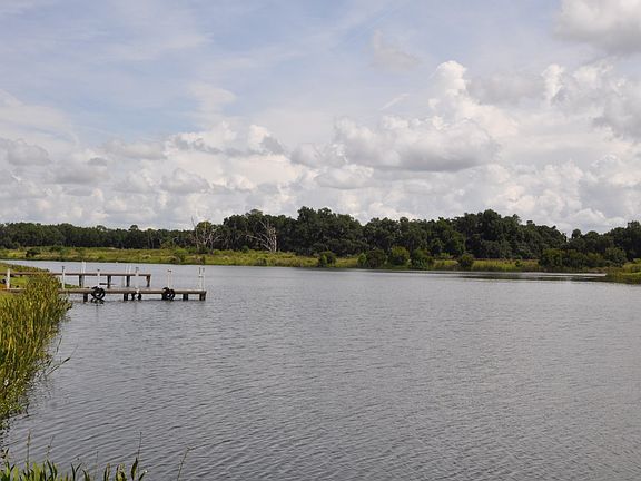 Backyard Reserve View
