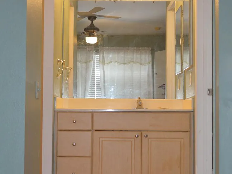 Sink and vanity