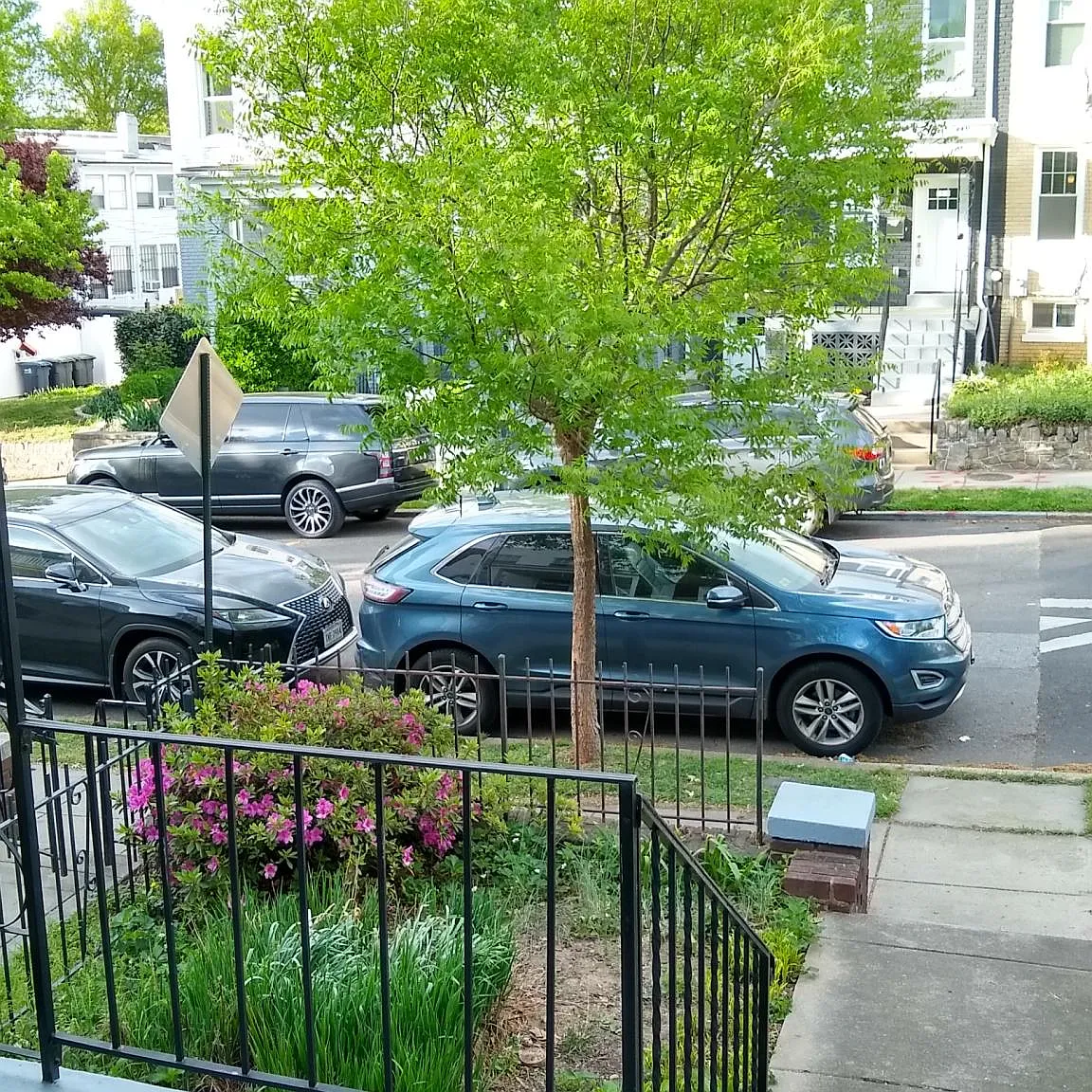 3 bed, 1400 sqft, $3,200 — Photo 2