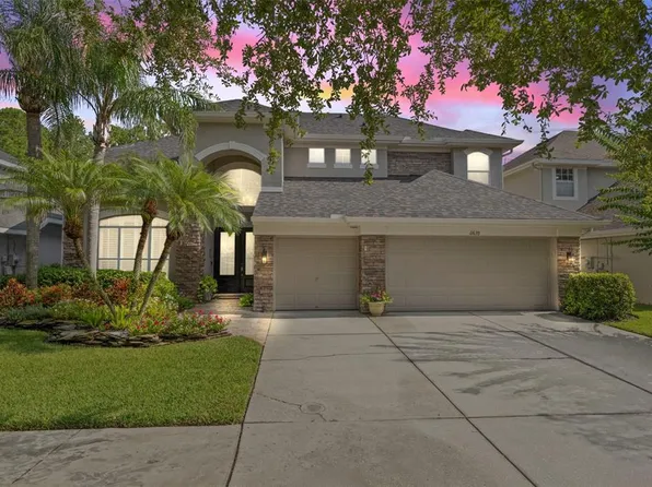11639 Renaissance View Ct, Tampa, FL 33626