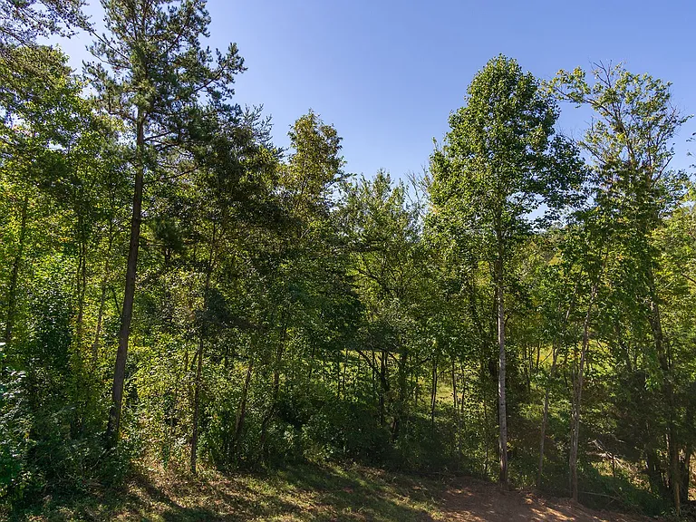 27 M L Reagan Dr — Photo 37
