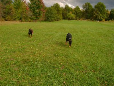 2769 Barclay Messerly Rd, Southington, OH, 44470