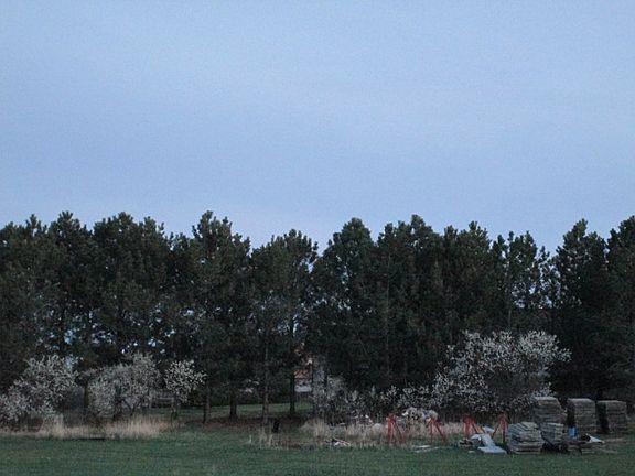 view from north property lin