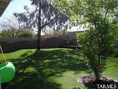 Backyard - new sod