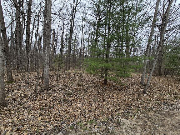 5th image of 98 N Indian Wood Dr