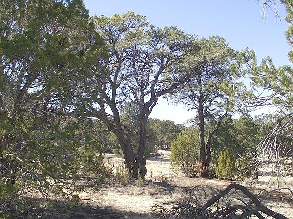 5th image of 7091 N Audrey Way