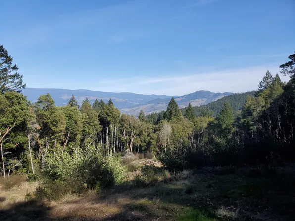 700 Willow Rd, Alderpoint, CA 95511