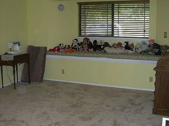 Large Bedroom downstairs 