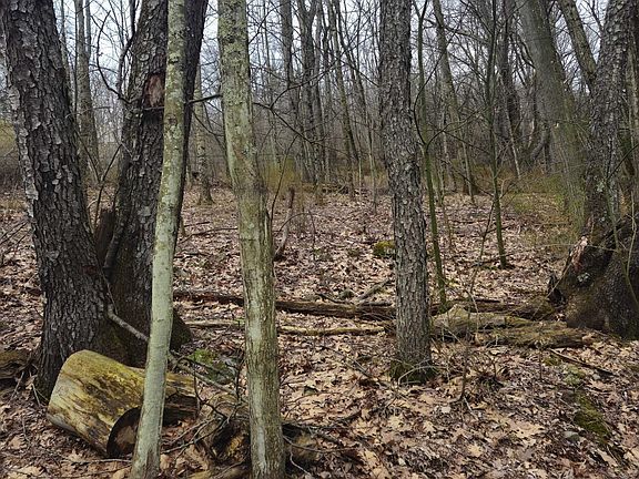 4th image of 0 Kilmer Rd