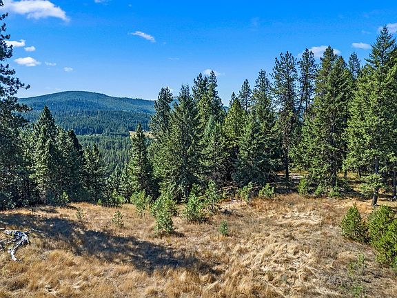 3rd image of Nka Pines Rd