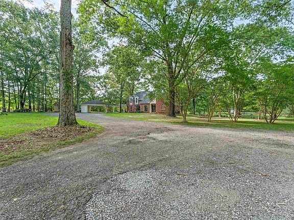 4th image of 447 Sandy Springs Ln