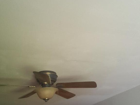 Living room, bookcase area.