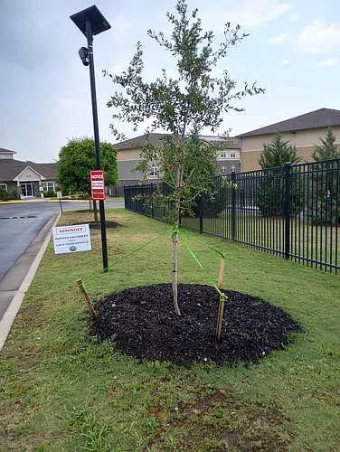Peach Orchard Apts Photo 1