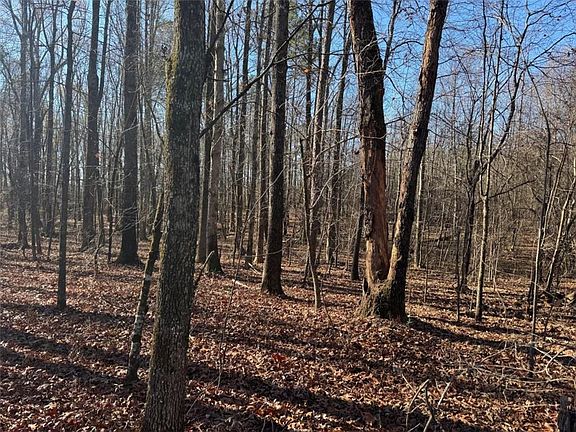 4th image of 6601 Hog Mountain Rd #53