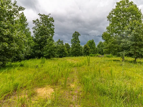 210 Loveman Ln, Hampshire, TN 38461