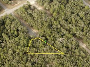 11095 N Edith Pt, CITRUS SPRINGS, FL --