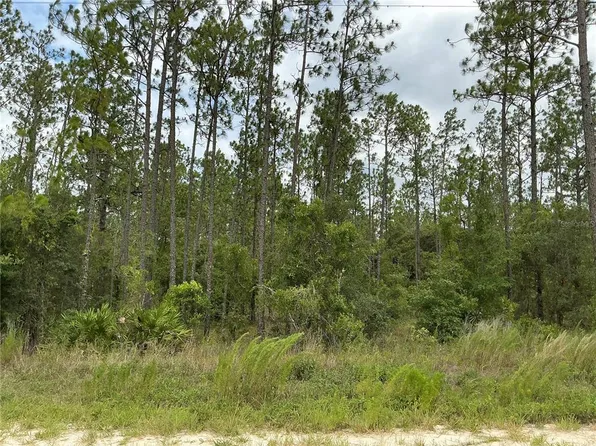LOT 11 SW 73rd St, Dunnellon, FL 34432