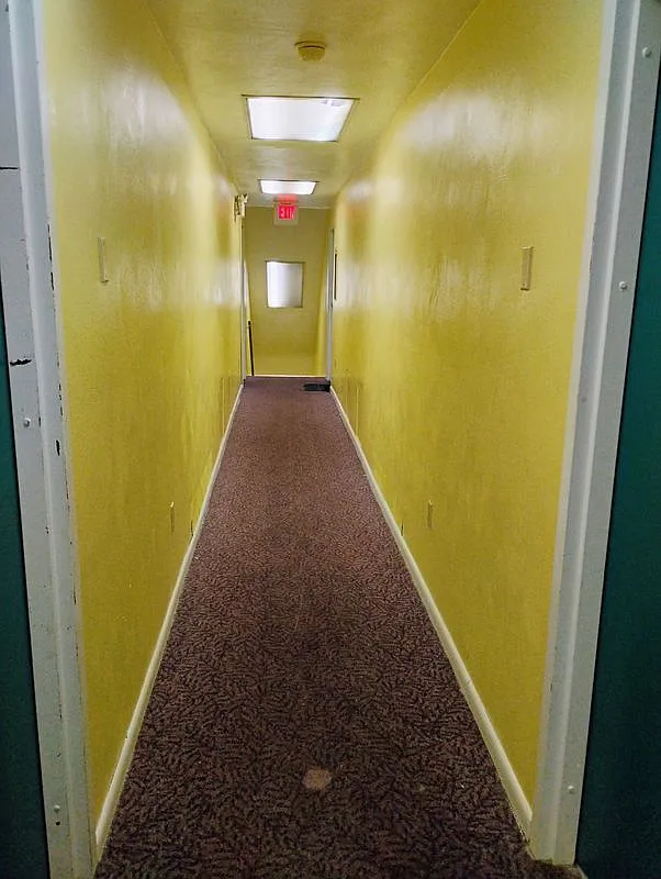 2 bed, 1.0 bath, 1600 sqft, $875 — Photo 3
