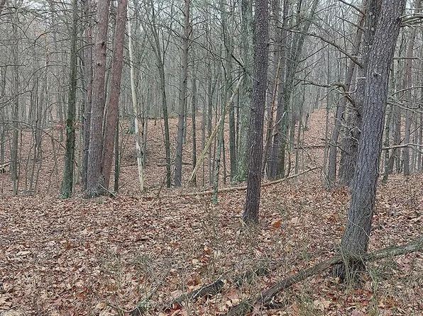 21 High Mountain Meadows Rd, Delray, WV 26714