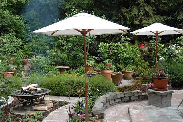 back yard