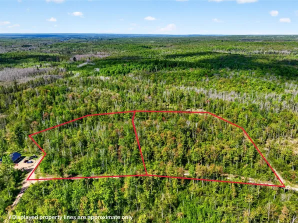 Lot 40 and 41 Horse Creek Trail, Ojibwa, WI 54862