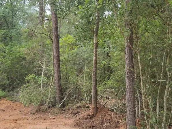 LOT 3 Scarlet Oak Dr, Plantersville, TX 77363