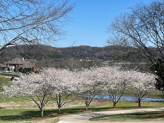 4th image of 3235 Kinnard Springs Rd