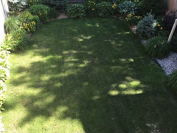 Green Space