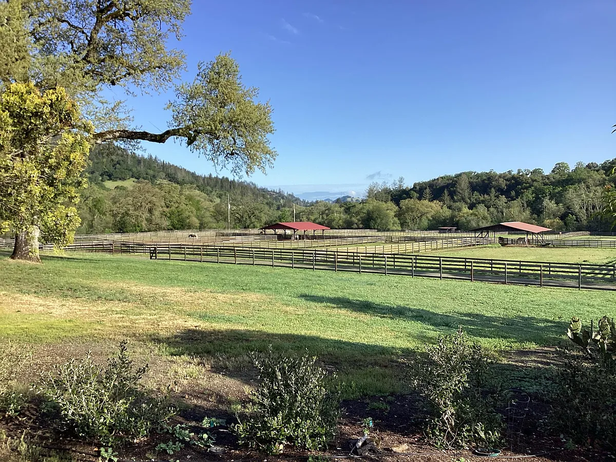 Tranquil deck view - 5235 Saint Helena Rd