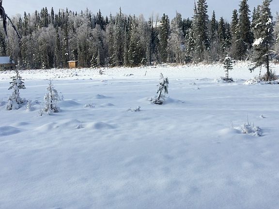 Property line looking west