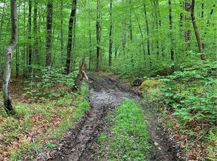 Cox Rd, Roscoe, NY 12776