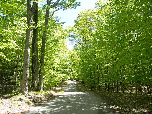 4th image of LOT 1 Norwegian Wood Dr