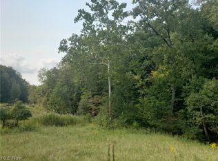 Broadview Rd, Broadview Heights, OH 44147