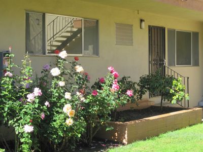 1337 Phelps Ave APT 3, San Jose, CA, 95117